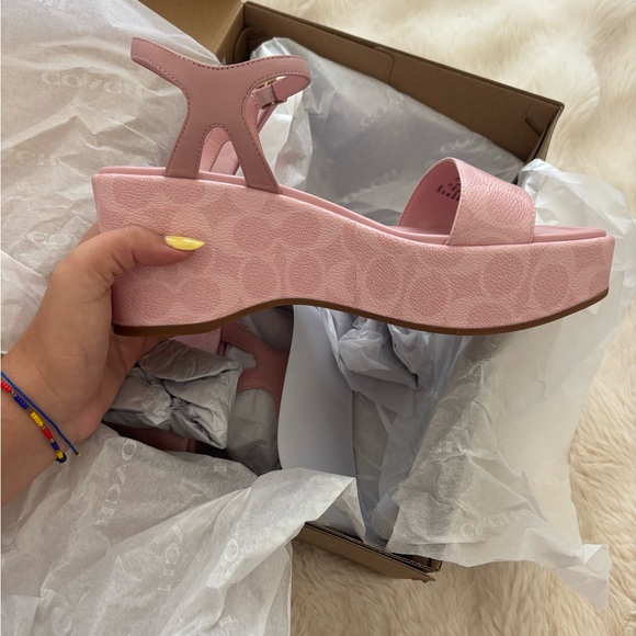 Gale Wedge Sandal in Powder Pink - Picture 1 of 5